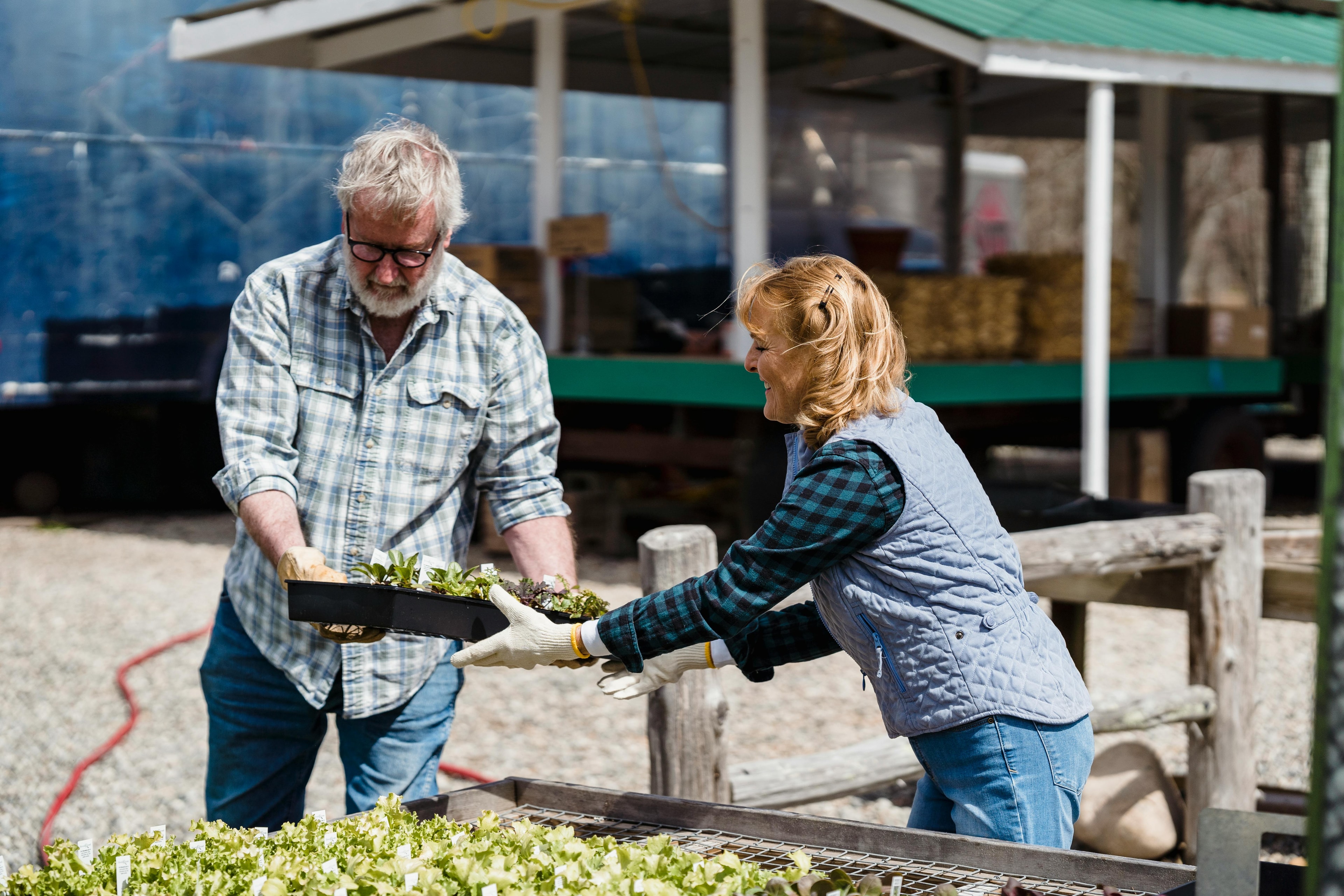 People helping in a community garden